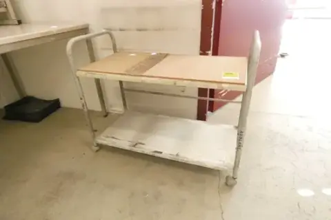 Shelf trolley