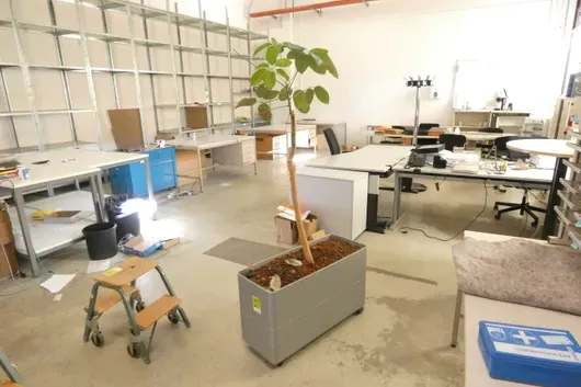 1x plant with planter box
