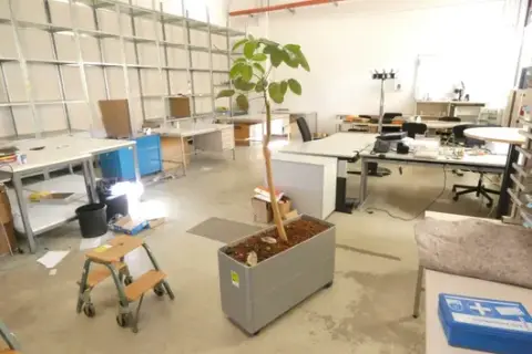 1x plant with planter box