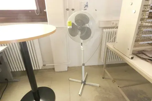 Pedestal fan
