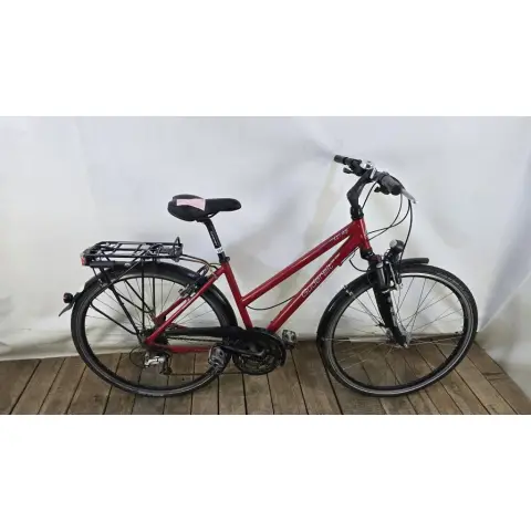 Men's bicycle Gudereit
