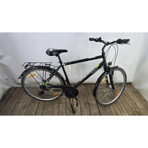 Men's bicycle Pegasus, black