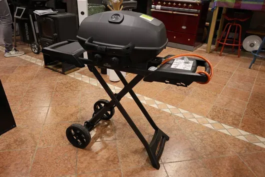 Napoleon Travel Q gas grill