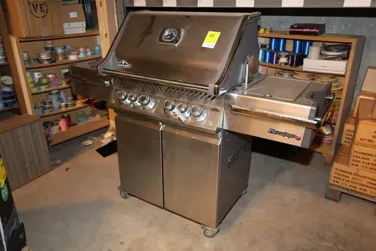 Napoleon Erdgasgrill Prestige Pro 500