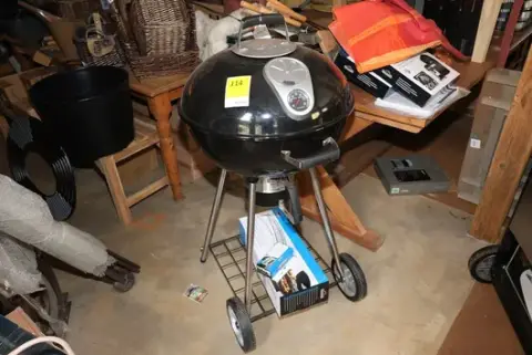 Napoleon Kugelgrill