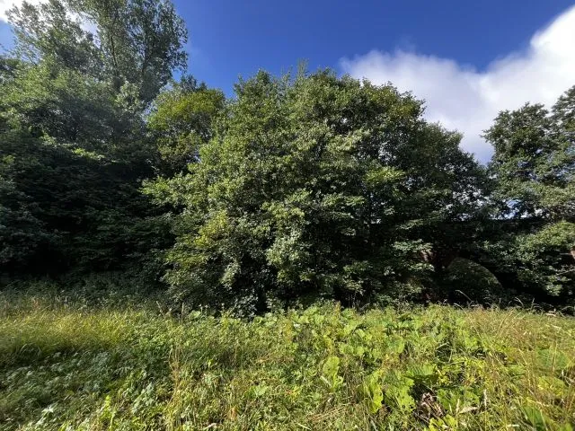 Kontraktfrie tomter ca. 25 km fra trelandepunktet Rhön - Bayern-Hessen-Thüringen