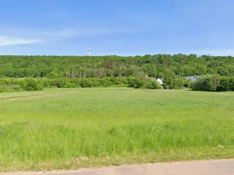 Gehölzfläche neben Wohnbebauung im Landkreis Saarlouis