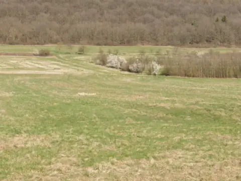 Gehölzstreifen im Landkreis Saarlouis