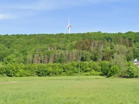 Gehölzfläche neben Wohnbebauung im Landkreis Saarlouis