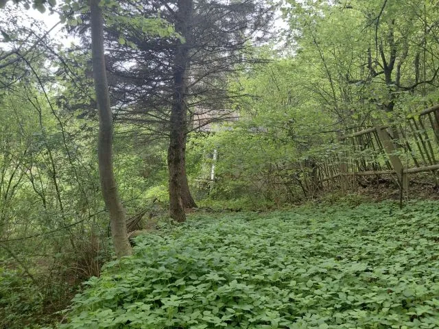 坎堡城堡西南侧休闲用地之间无合同的自然地块，带较旧建筑