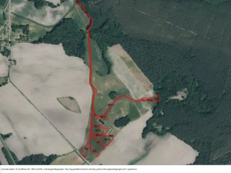 Grünland in Neuendorf A