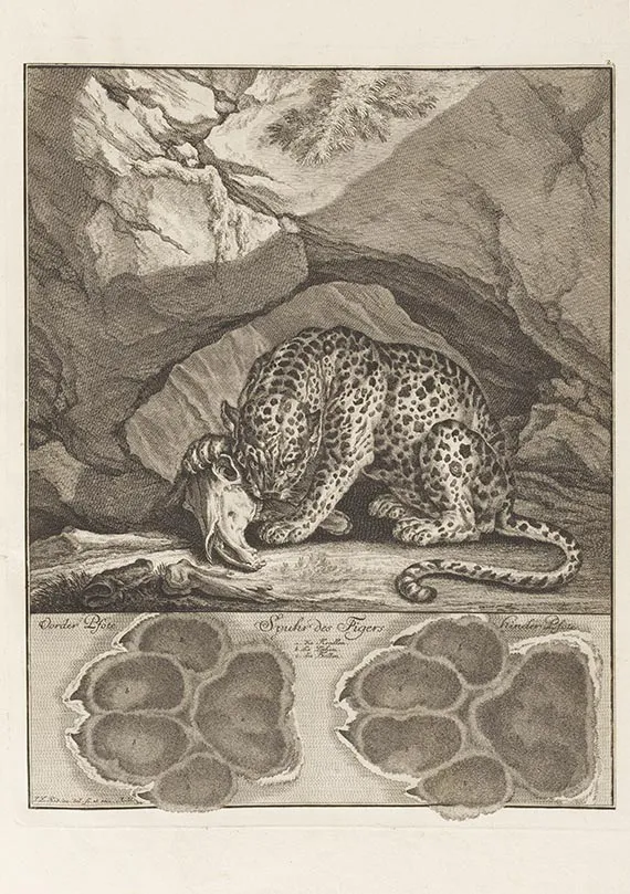Johann Elias Ridinger, Abbildung der jagtbaren Thiere