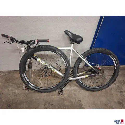 Bicicleta de montaña Giant plateada RNR: C11B46xx