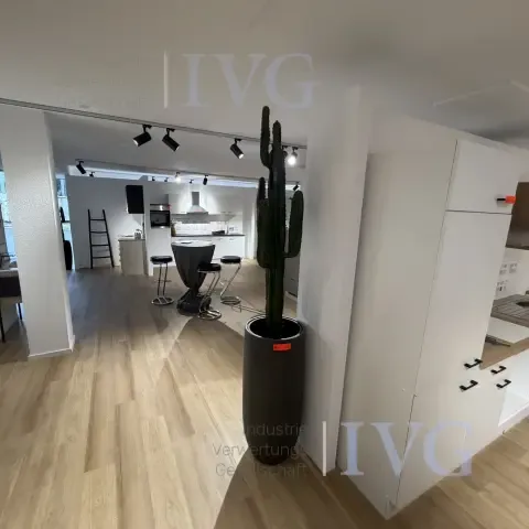 Muovikaktus