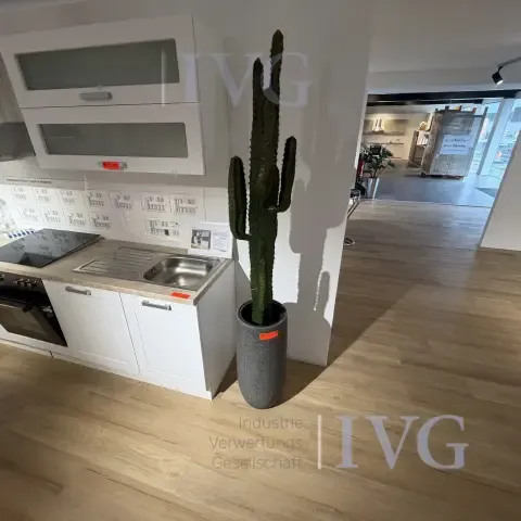 Muovikaktus