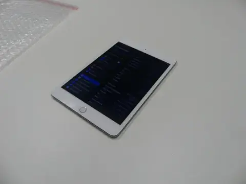 Apple - iPad mini 4 - 16 GB