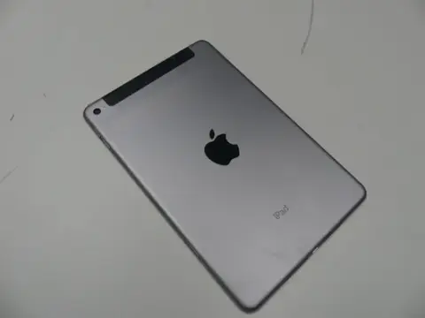 Apple - iPad mini 4 - 32 GB