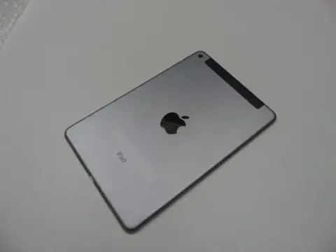 Apple - iPad mini 4 - 16 GB