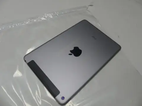 Apple - iPad mini 4 - 32 GB