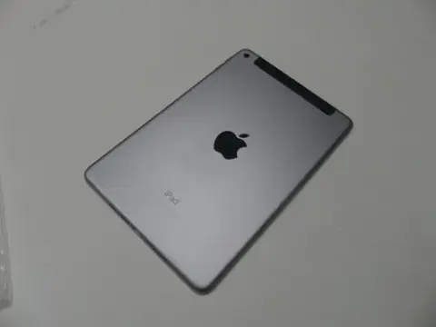 Apple - iPad mini 4 - 32 GB