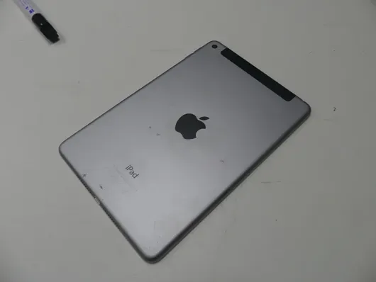 Apple - iPad mini 4 - 32 GB