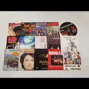 Lot de discuri de vinil