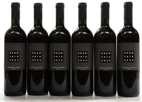 Brancaia Chianti Classico 2022