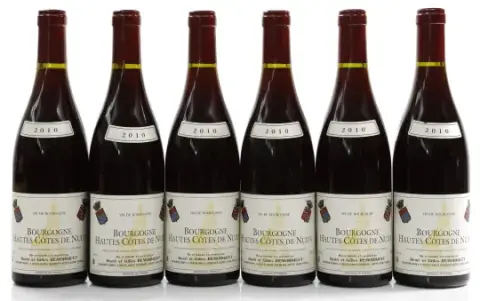 Remoriquet Bourgogne Haut Cotes 2010