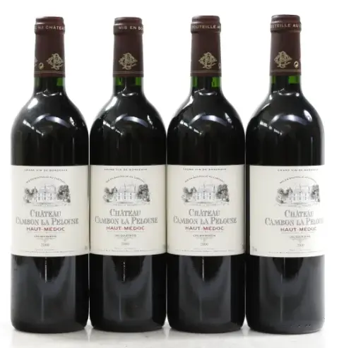 Chateau Cambon la Pelouse 2000