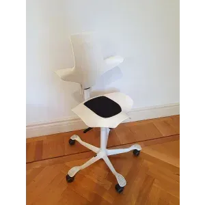 HAG Capisco Puls 8010 conference chair