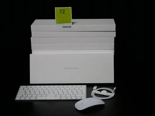 Set da 10 pezzi Apple Magic Mouse e tastiera