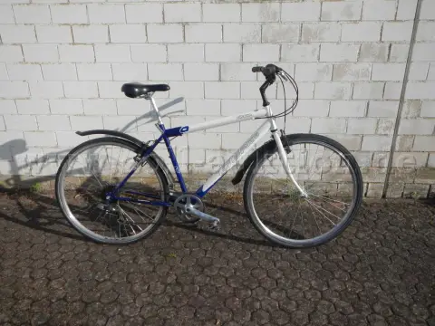 1辆 Passat Livorno 28英寸自行车
