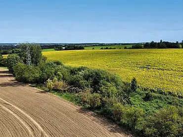 Landwirtschaftsfläche, u.a. Grundstücke – Altenburg