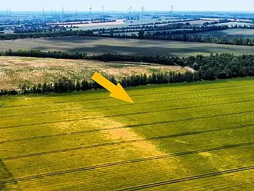 1,9 ha Acker-/ Grünland und Wasserfläche – Meuselwitz