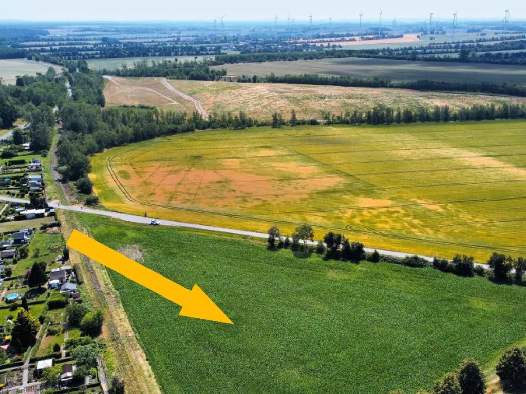 1,5 ha Ackerland und sonstige Flächen – Meuselwitz