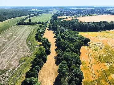 1,9 ha Acker-/ Grünland und Waldflächen – Meuselwitz