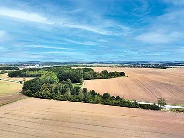 Terreno forestal/verde – Ronneburg