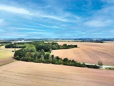 Wald-/Grünfläche – Ronneburg