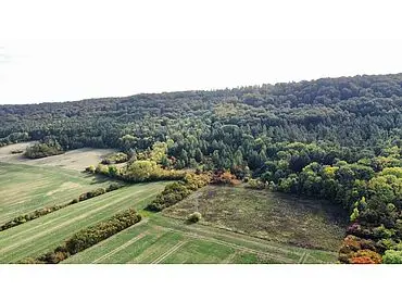 4,5 ha Ackerland und Waldflächen – Niedergebra