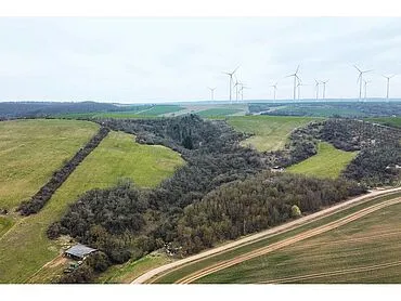 5,9 ha Acker-/Grünland und Waldfläche – Heringen/Helme
