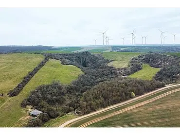 5,9 ha Acker-/Grünland und Waldfläche – Heringen/Helme