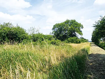 Landbouwgrond – Genthin