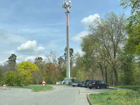 Grundstück mit verpachtetem Grund/Boden für einen Mobilfunkmast & etwa 2 ha Wald an der A67 *vor den Toren von Frankfurt/Main*