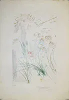 Salvador Dalí, "Süleyman'ın Neşideler Neşidesi" 1971'den pochoir ve altın varaklı 2 imzalı renkli gravür