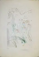 Salvador Dalí, "Süleyman'ın Neşideler Neşidesi" 1971'den pochoir ve altın varaklı 2 imzalı renkli gravür