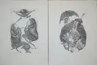 Gertrude Degenhardt, "Pasaklı Çocuklar Çetesi", 1970'ten 10 imzalı büyük gravürlü kutu