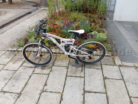 1 Mountainbike der Marke Bergsteiger