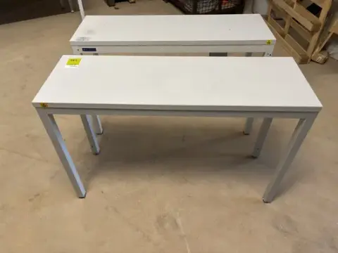 2 张 ESD 边桌 120 x 60 厘米