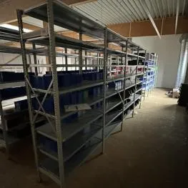 Raf sistemleri partisi