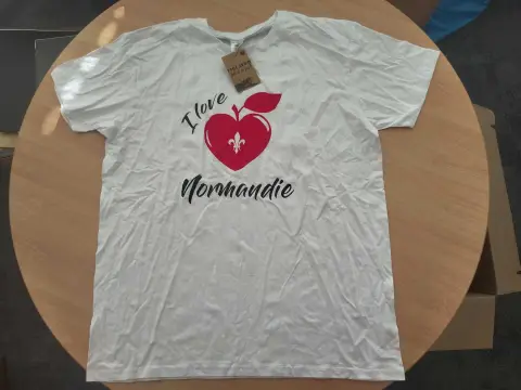 1 maglietta, marca B&C, taglia XXL, bianca con stampa